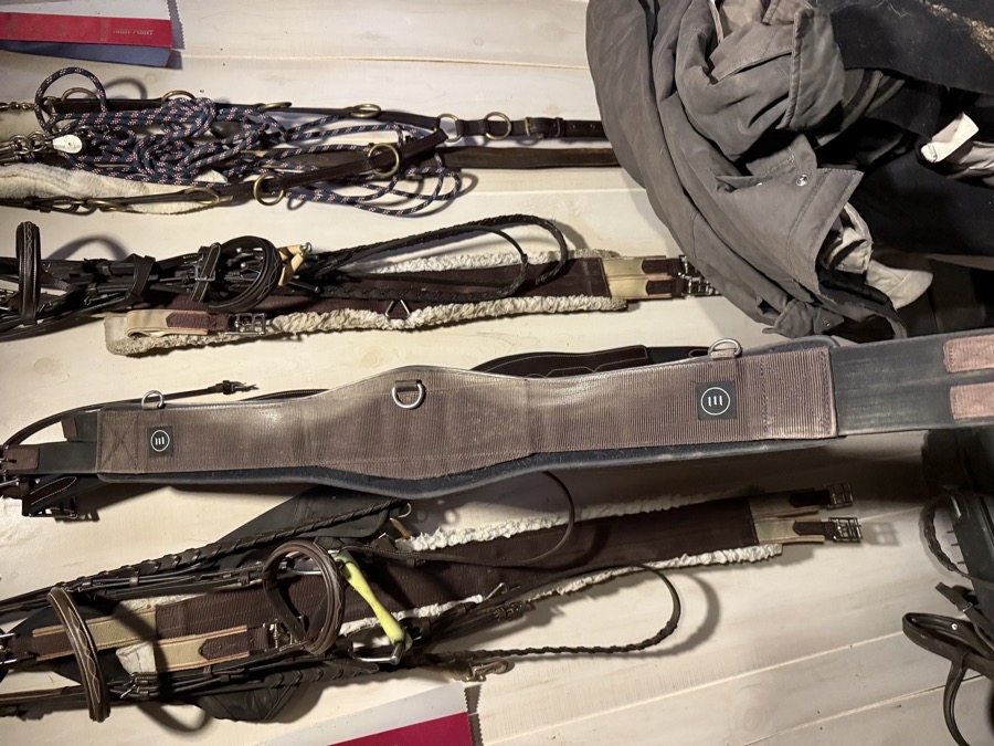 46” schooling girth 