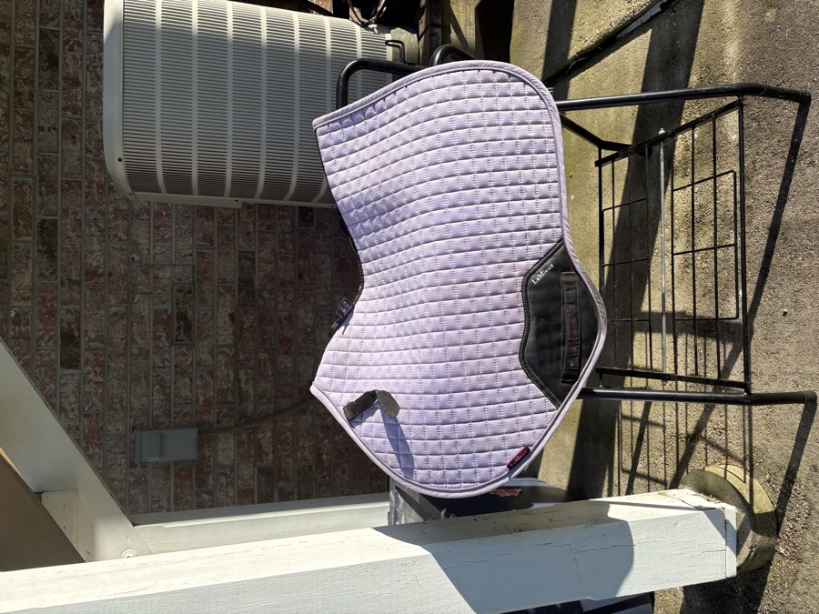 Discontinued Lemieux Wisteria CC saddle pad