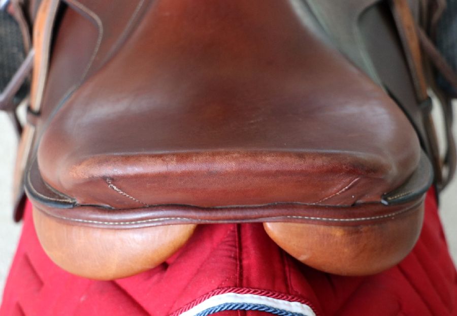17.5" Wide? Ovation Ruiz Diaz Saddle W/ Leathers+Irons+Pad