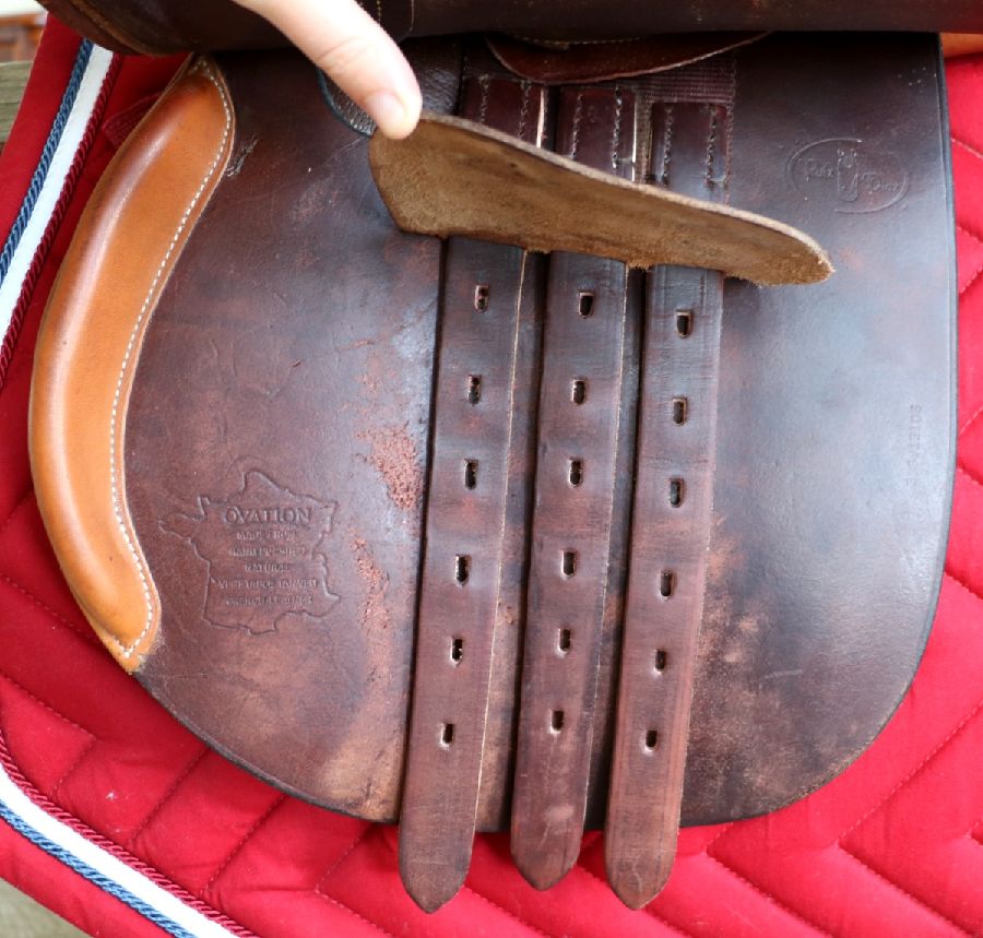 17.5" Wide? Ovation Ruiz Diaz Saddle W/ Leathers+Irons+Pad