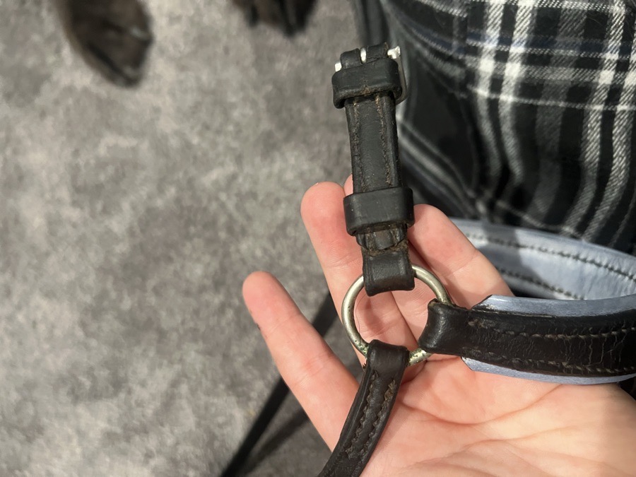 Dressage noseband