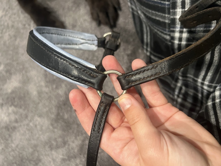 Dressage noseband