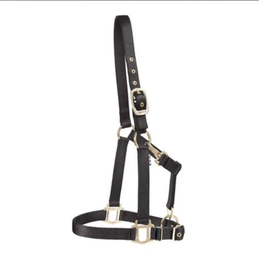Dover Saddlery Heavy Nylon Horse size Halter BLACK brass hardware