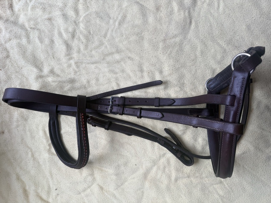 bling cob bridle
