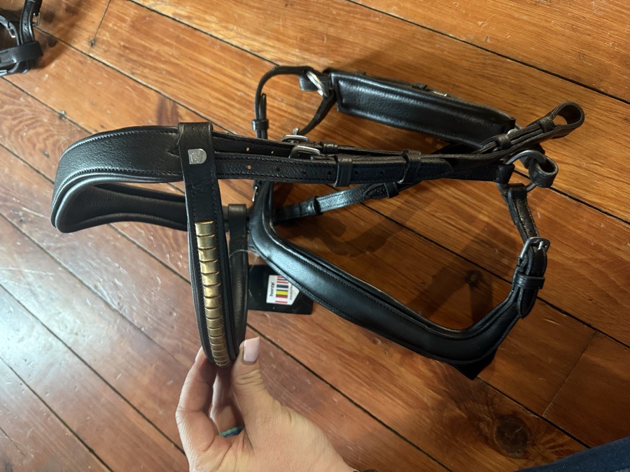 Cob Horze anatomical bridle