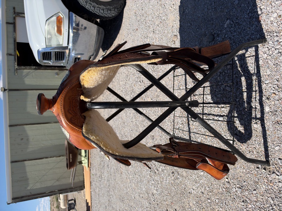 HEREFORD | 15" | 6.25" Tree Size | Before 2010