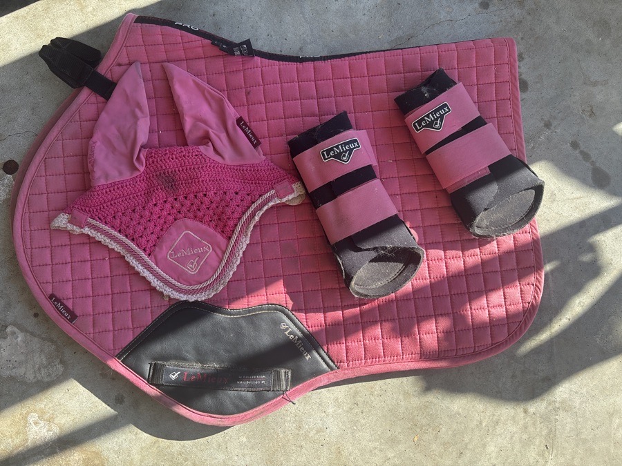 lemieux watermelon set!!