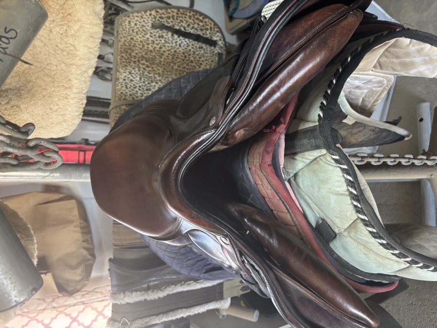 Devoucoux saddle 