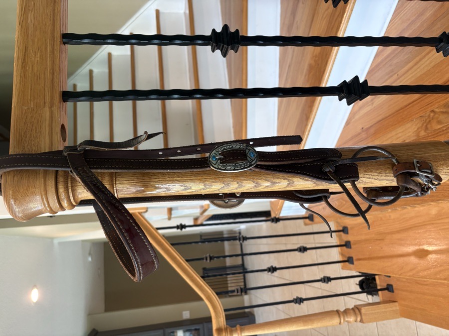 WEAVER LEATHER Bridle Horse