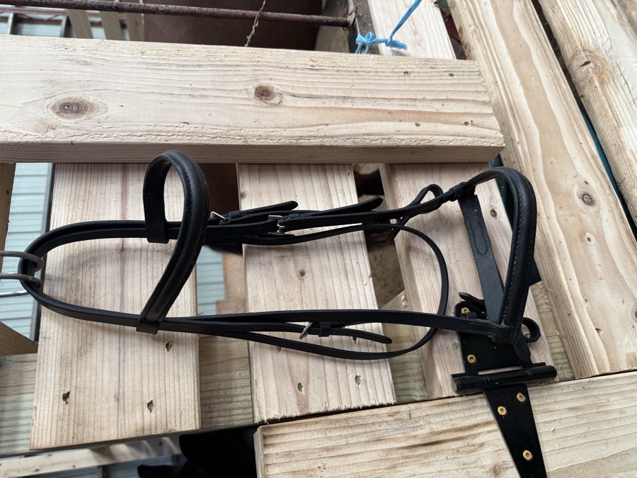 Plain Black Bridle