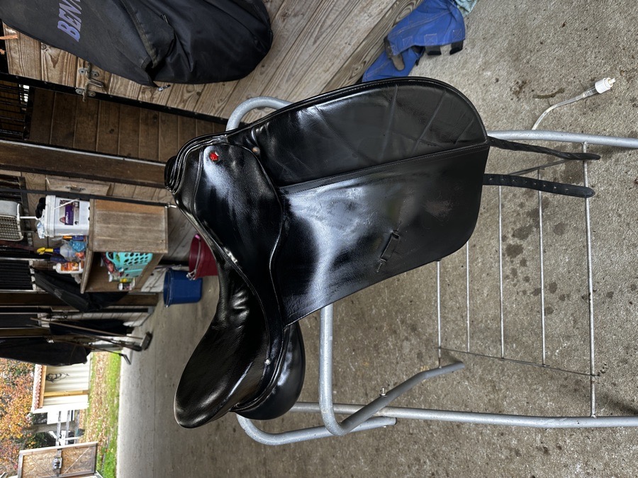 Albion dressage saddle