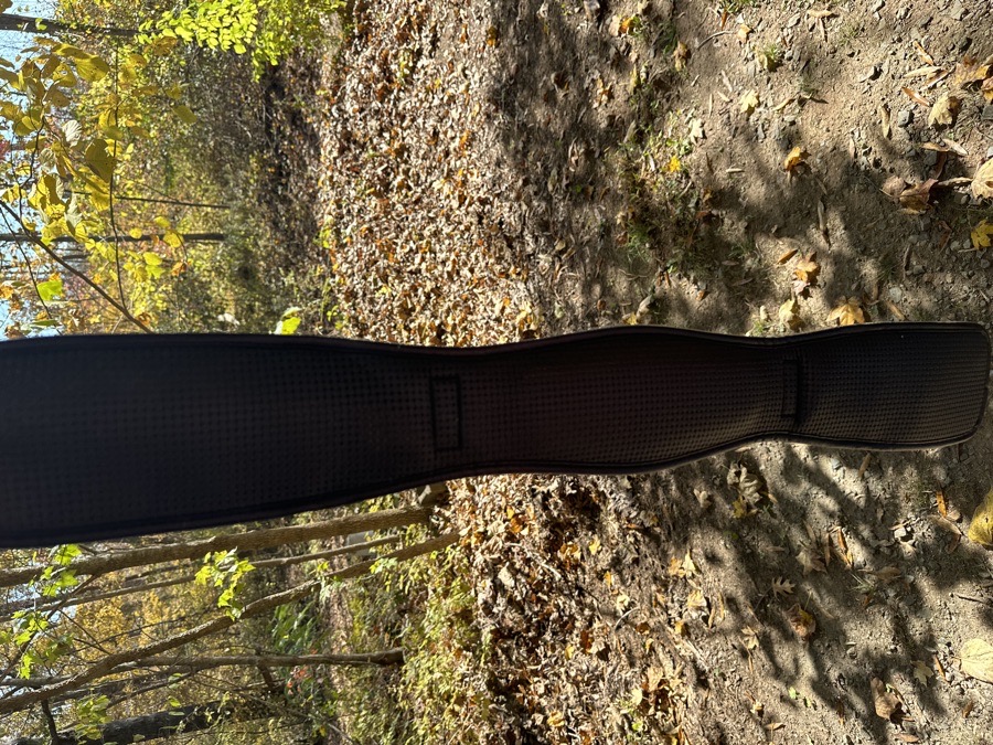 Lettia dressage girth 