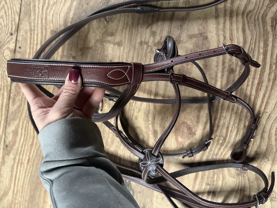 Dover figure 8 bridle and reins