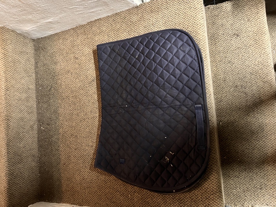 Blue Centaur saddle pads 