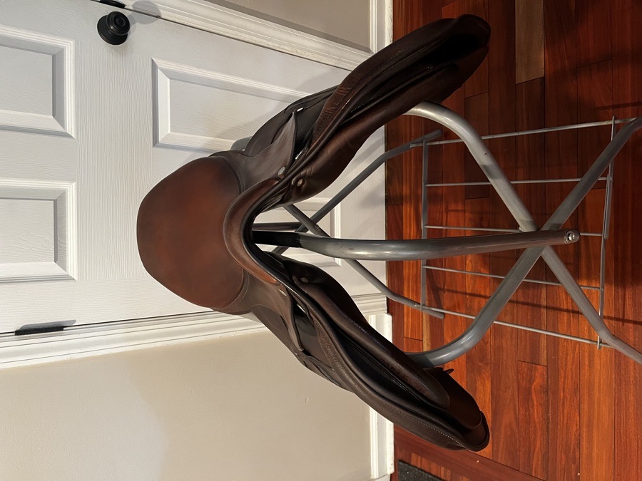 Antares english saddle