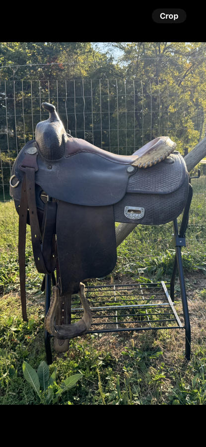 Craig Johnson Reiner