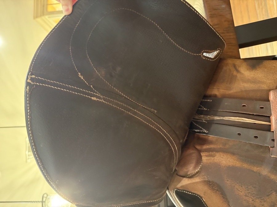 Antarès saddle for sale!