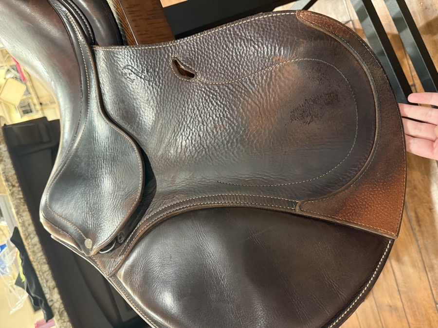 Antarès saddle for sale!