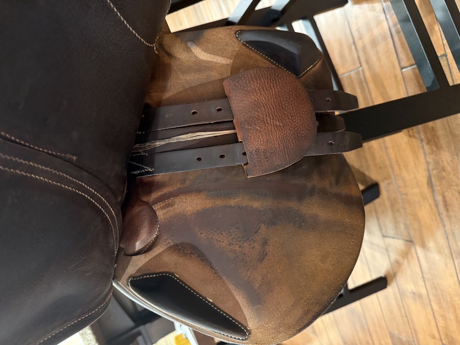 Antarès saddle for sale!