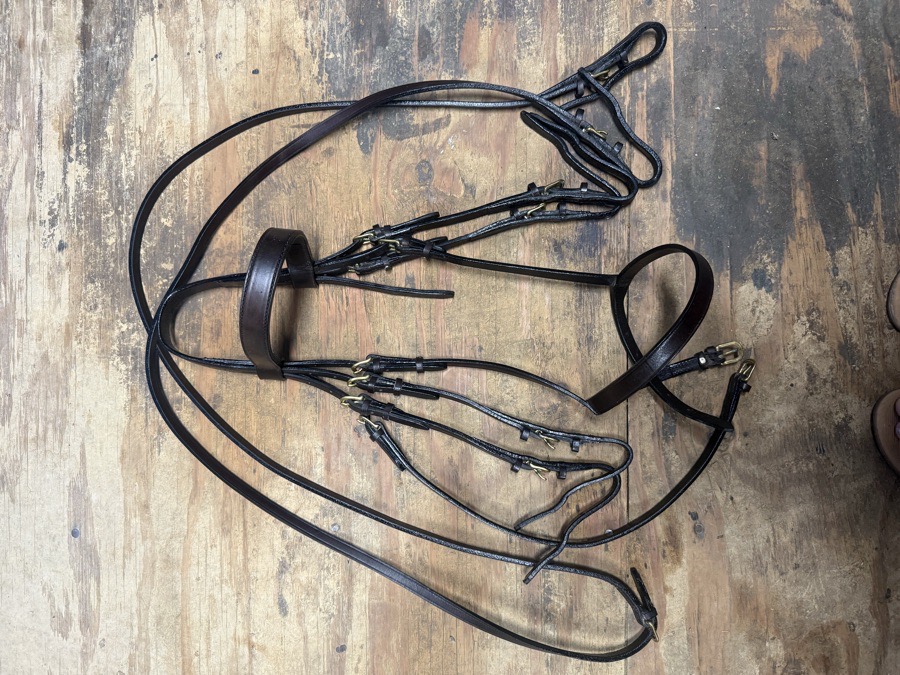 full sized double bridle