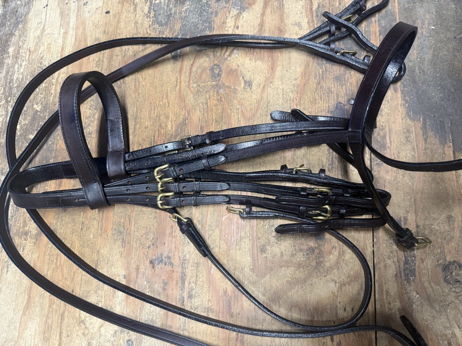 full sized double bridle