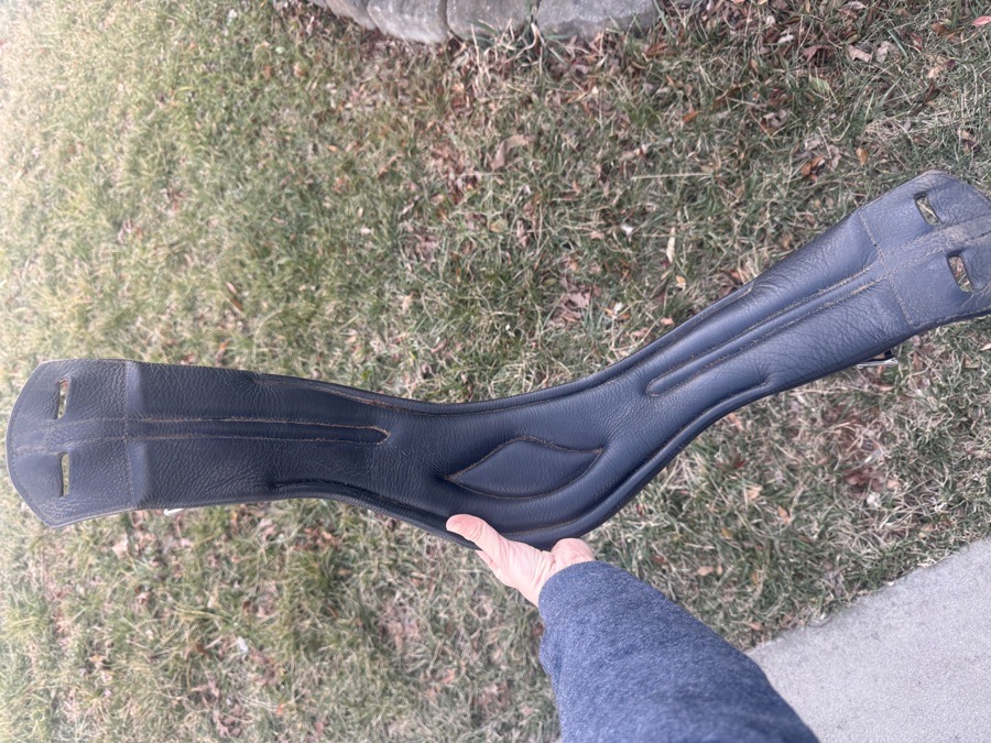 22” RedBarn dressage girth