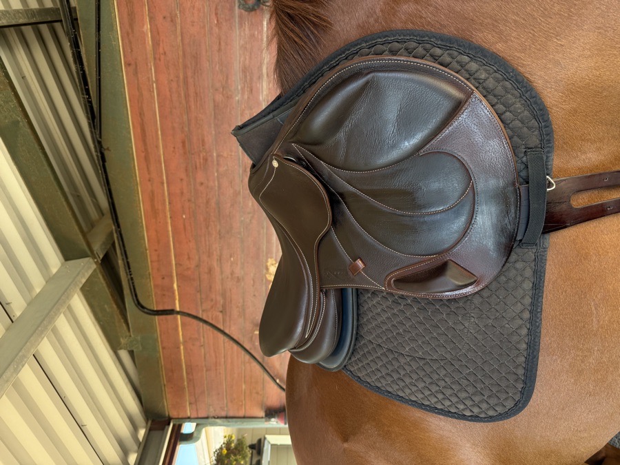 Antares Monoflap Buffalo leather Saddle