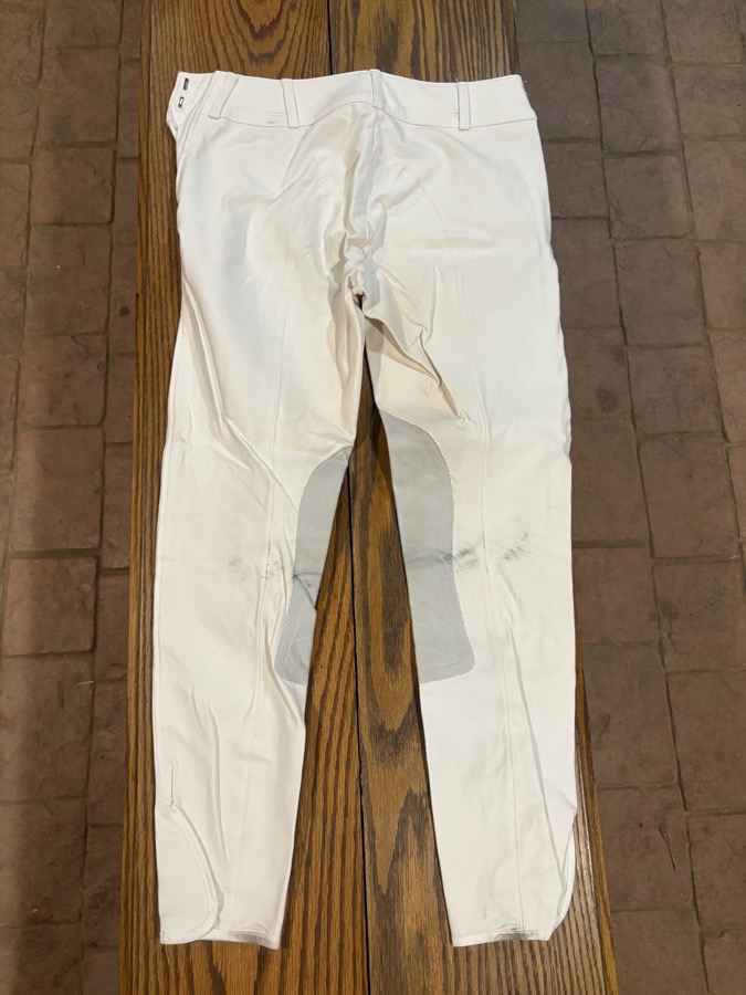 Tailored Sportsman 24R Breeches