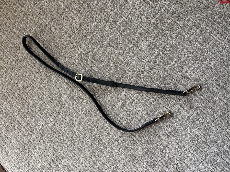 Bit strap