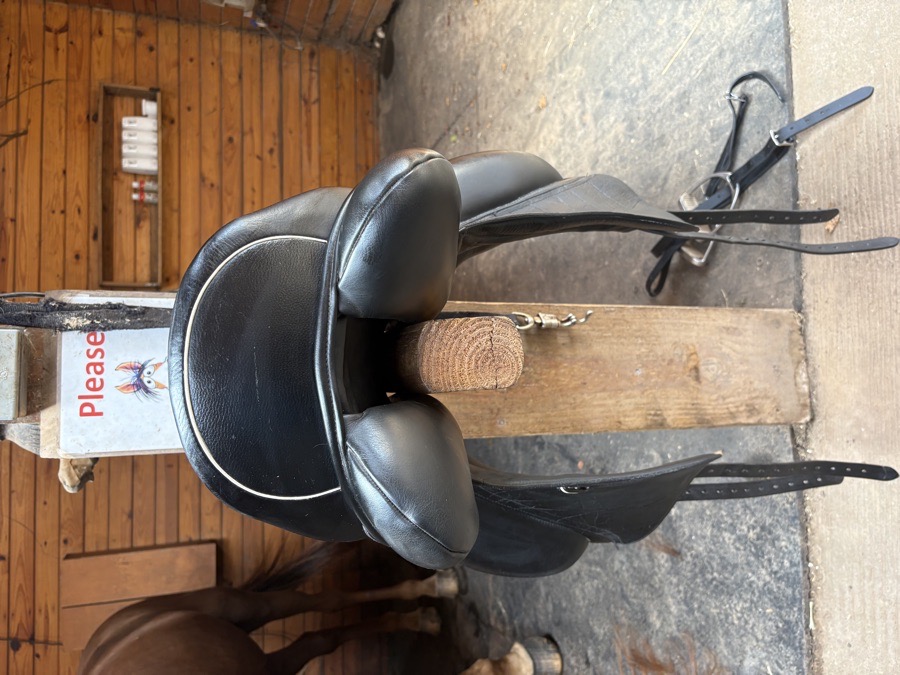 Custom dressadge saddle 