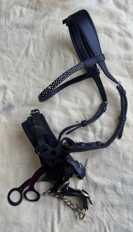 black hackamore bridle