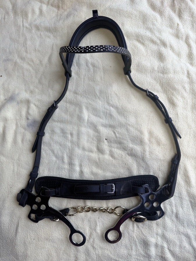 black hackamore bridle