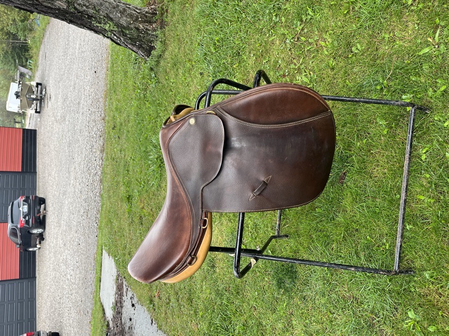 All purpose English saddle