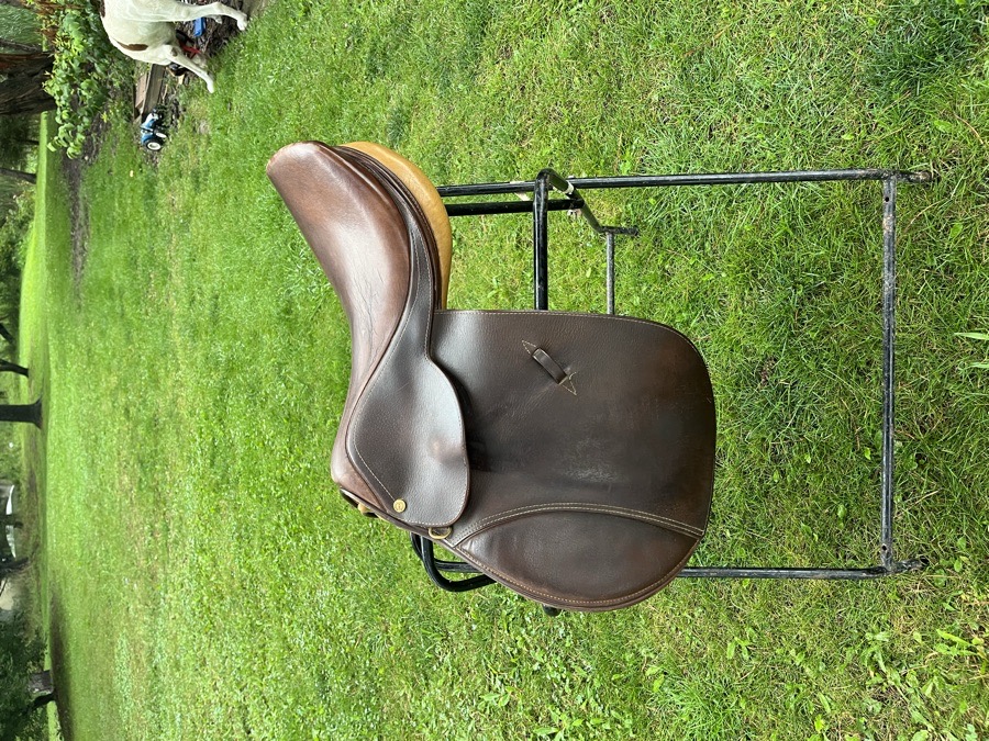 All purpose English saddle