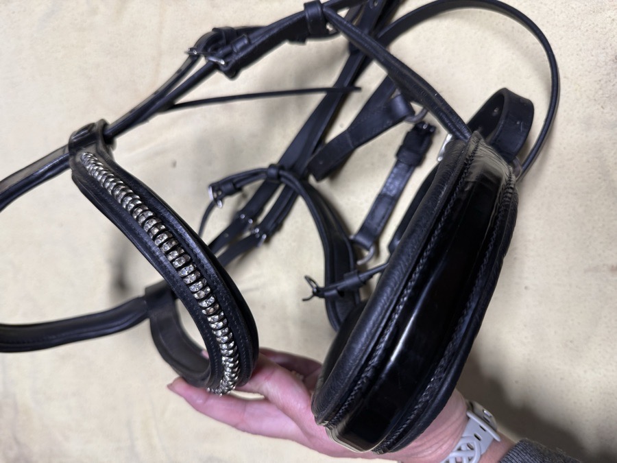 Tota Comfort noseband bridle
