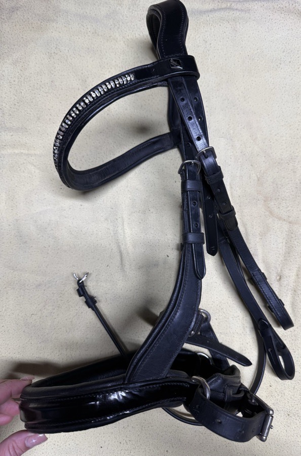 Tota Comfort noseband bridle