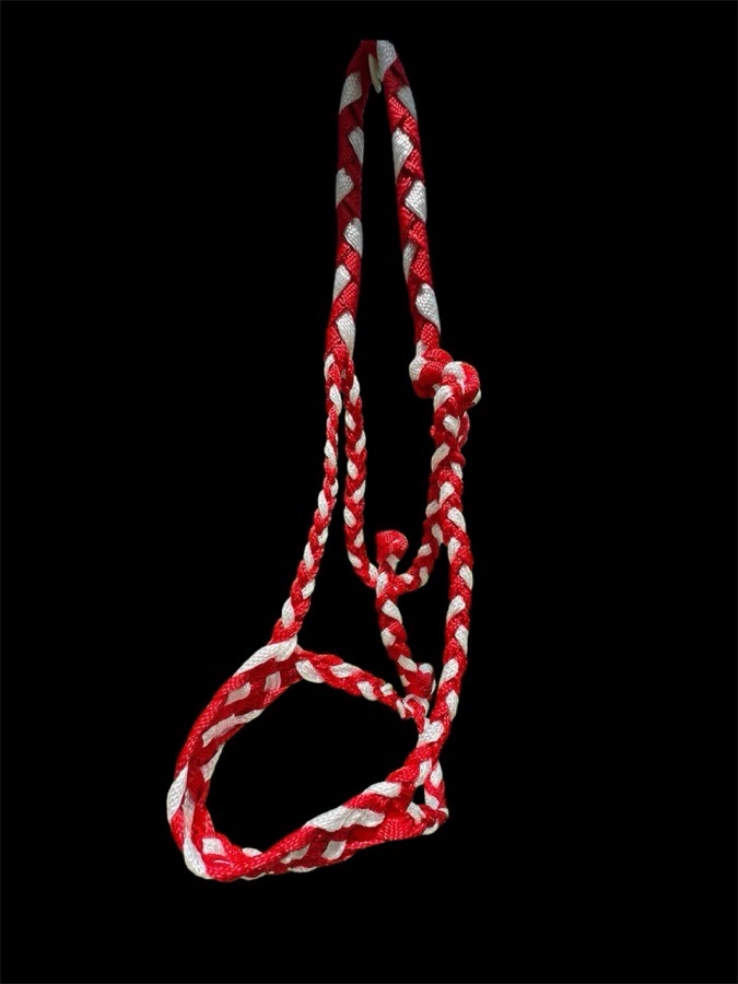 Pony Mule Tape Halter Red + White 