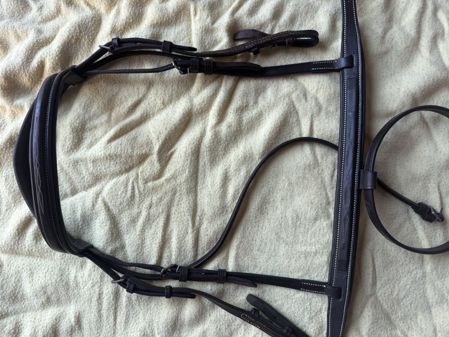 pony fancy stitch flash bridle