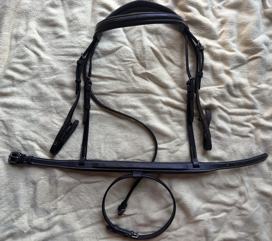pony fancy stitch flash bridle