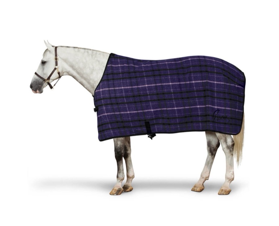 Mulberry Pessoa Wool Cooler - Pony