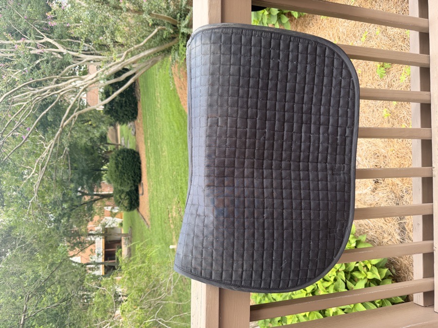 Riders international black saddle pad