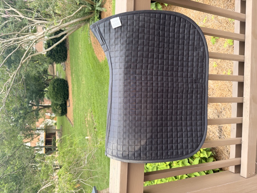 Riders international black saddle pad