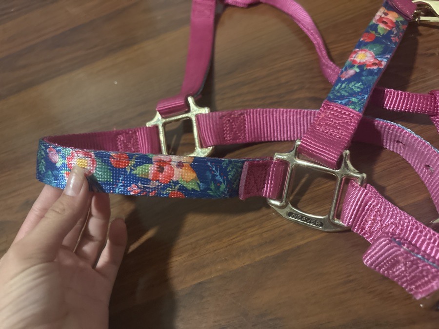 WEAVER Halter/Rope Large