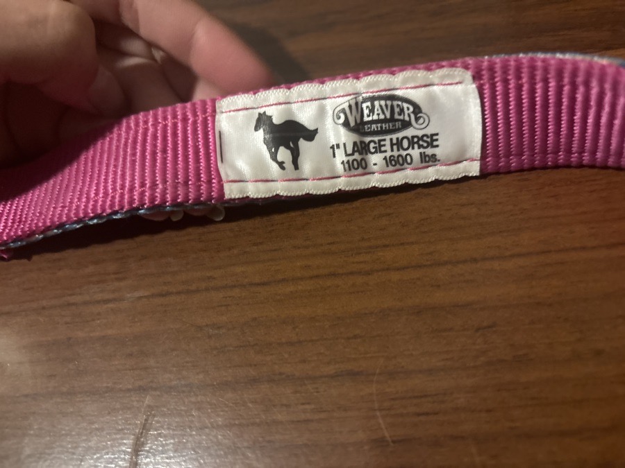 WEAVER Halter/Rope Large