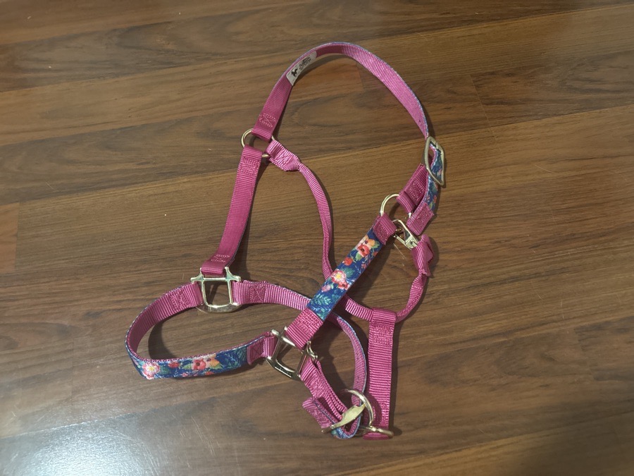 WEAVER Halter/Rope Large