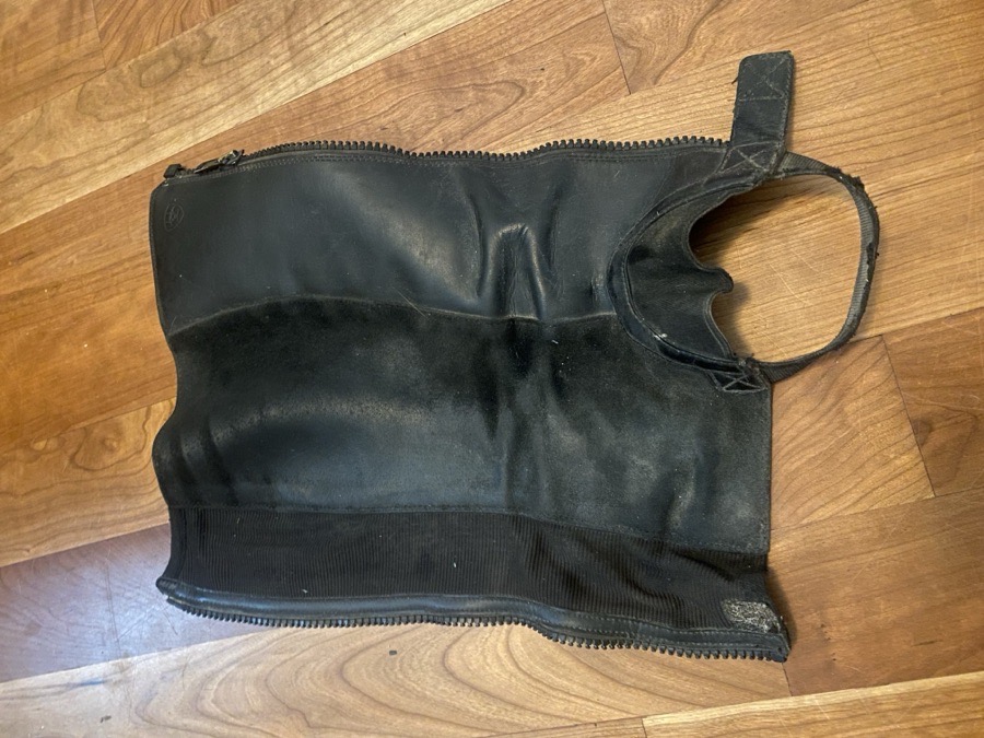 Youth Ariat Half Chaps