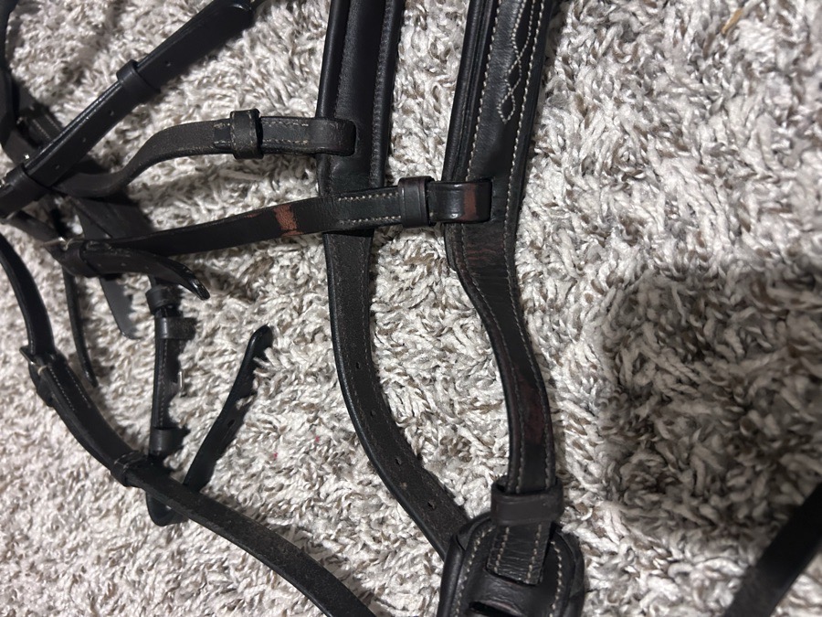 Lumiere ‘Milan’ bridle