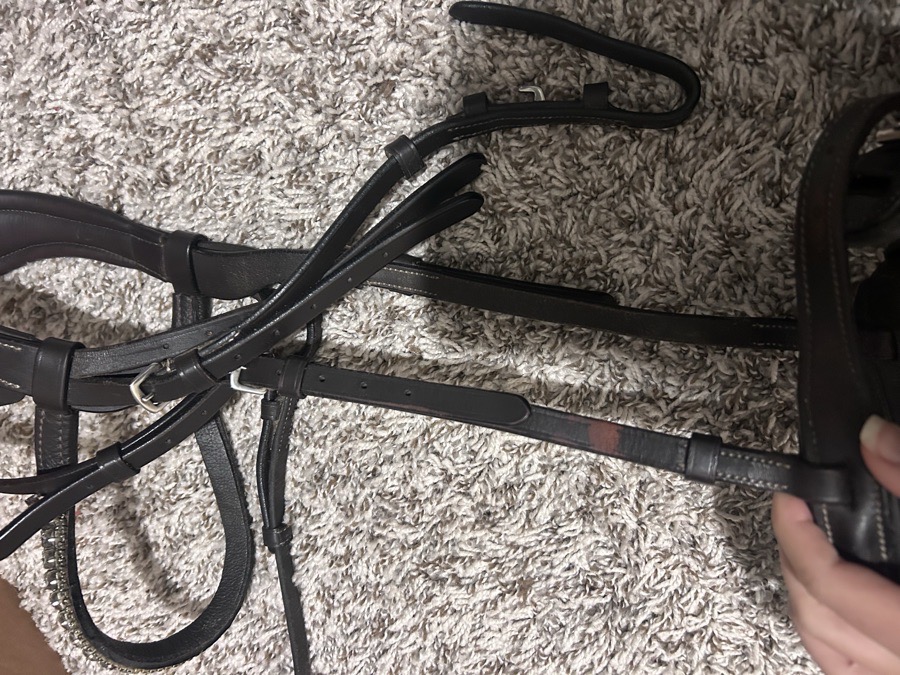 Lumiere ‘Milan’ bridle