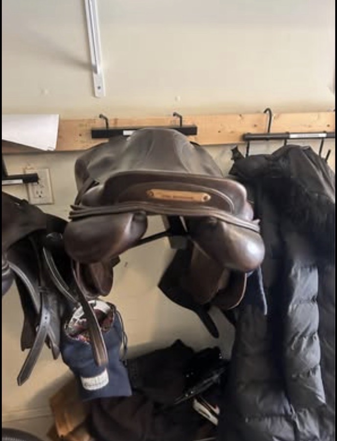 KENTUCKY HORSEWEAR | 17" | 4.75" Tree Size | 2021