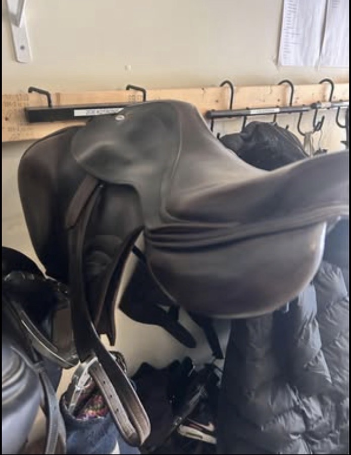 KENTUCKY HORSEWEAR | 17" | 4.75" Tree Size | 2021